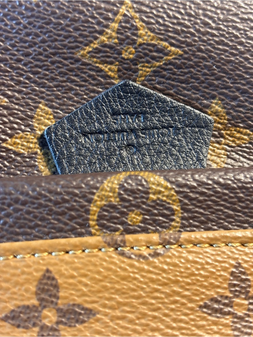 Louis Vuitton Reverse Palm Springs Mini - Picture 3 of 16